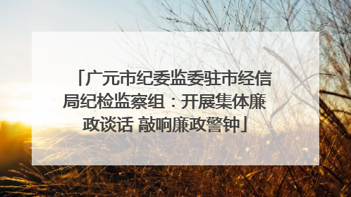 广元市纪委监委驻市经信局纪检监察组：开展集体廉政谈话 敲响廉政警钟
