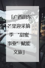 广西田东芒果迎采摘季 “甜蜜事业”赋能文旅