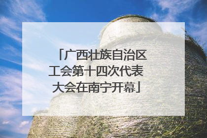广西壮族自治区工会第十四次代表大会在南宁开幕