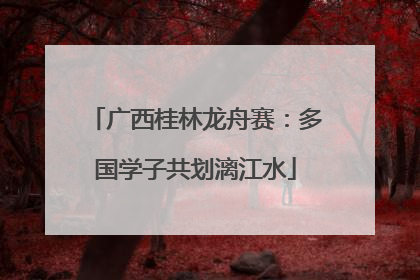 广西桂林龙舟赛：多国学子共划漓江水