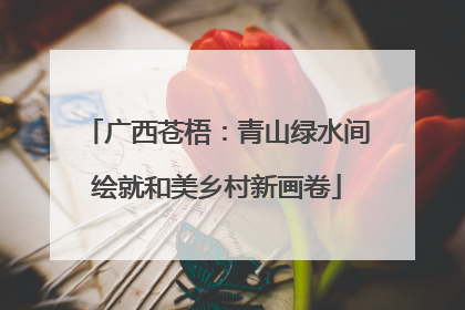广西苍梧：青山绿水间绘就和美乡村新画卷