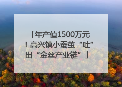 年产值1500万元！高兴镇小蚕茧“吐”出“金丝产业链”
