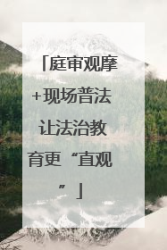 庭审观摩+现场普法 让法治教育更“直观”