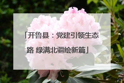开鲁县：党建引领生态路 绿满北疆绘新篇
