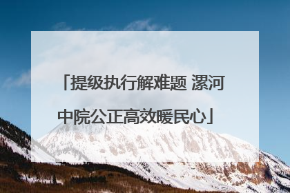 提级执行解难题 漯河中院公正高效暖民心