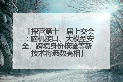 探营第十一届上交会：脑机接口、大模型安全、跨境身份核验等新技术将悉数亮相