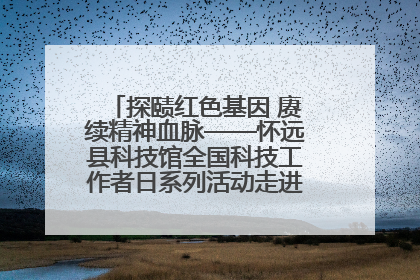 探赜红色基因 赓续精神血脉——怀远县科技馆全国科技工作者日系列活动走进怀远县实验中学