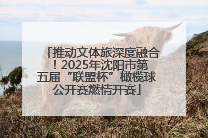 推动文体旅深度融合！2025年沈阳市第五届“联盟杯”橄榄球公开赛燃情开赛