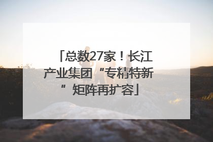 总数27家！长江产业集团“专精特新”矩阵再扩容