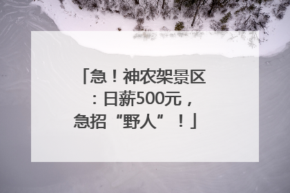 急！神农架景区：日薪500元，急招“野人”！