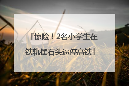 惊险！2名小学生在铁轨摆石头逼停高铁