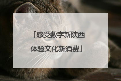 感受数字新陕西 体验文化新消费