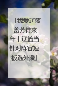 我爱辽篮 蓄芳待来年丨辽篮当针对阵容短板选外援