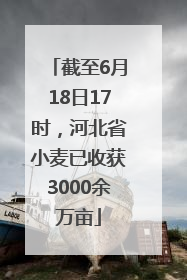 截至6月18日17时，河北省小麦已收获3000余万亩