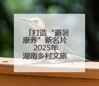 打造“避暑康养”新名片 2025年湖南乡村文旅投融资洽谈会在桃江举办