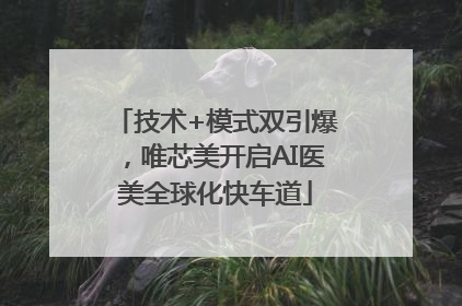 技术+模式双引爆，唯芯美开启AI医美全球化快车道