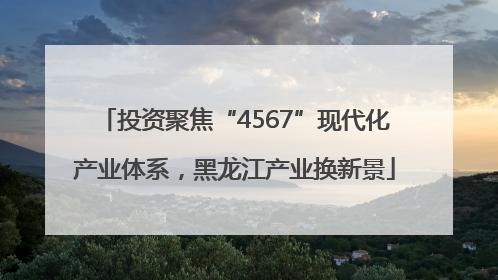 投资聚焦“4567”现代化产业体系，黑龙江产业换新景