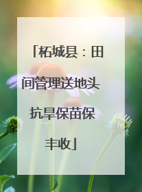 柘城县：田间管理送地头 抗旱保苗保丰收