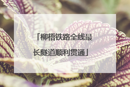 柳梧铁路全线最长隧道顺利贯通