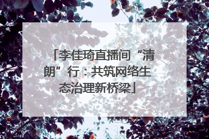 李佳琦直播间“清朗”行：共筑网络生态治理新桥梁