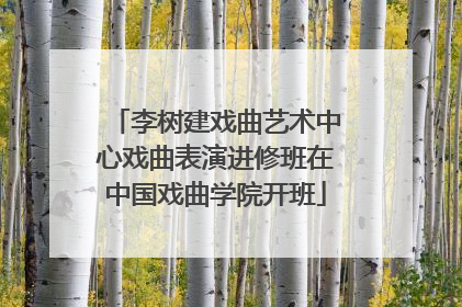李树建戏曲艺术中心戏曲表演进修班在中国戏曲学院开班