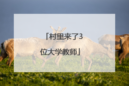 村里来了3位大学教师