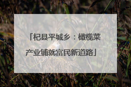 杞县平城乡：橄榄菜产业铺就富民新道路