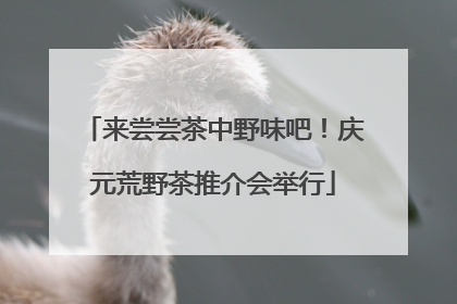 来尝尝茶中野味吧！庆元荒野茶推介会举行