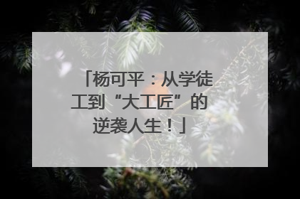 杨可平：从学徒工到“大工匠”的逆袭人生！