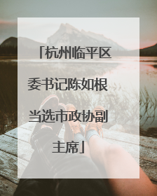 杭州临平区委书记陈如根当选市政协副主席
