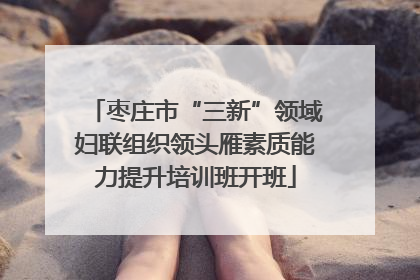 枣庄市“三新”领域妇联组织领头雁素质能力提升培训班开班