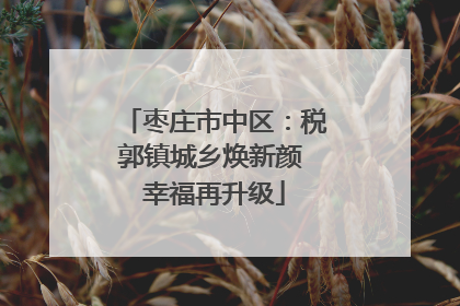 枣庄市中区：税郭镇城乡焕新颜 幸福再升级