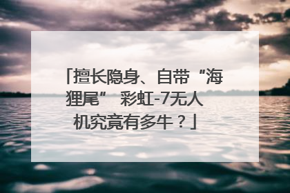 擅长隐身、自带“海狸尾” 彩虹-7无人机究竟有多牛？