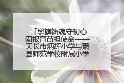 擎旗铸魂守初心 固根育苗担使命——天长市炳辉小学与萧县师范学校附属小学结对共建活动纪实
