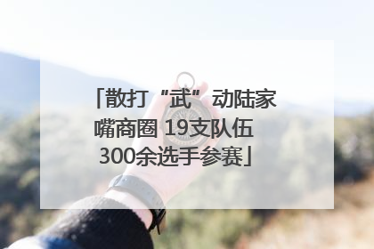 散打“武”动陆家嘴商圈 19支队伍300余选手参赛