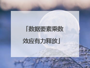 数据要素乘数效应有力释放