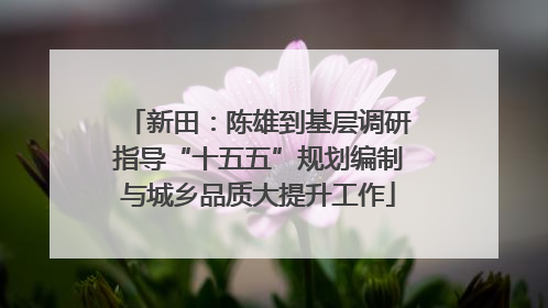 新田：陈雄到基层调研指导“十五五”规划编制与城乡品质大提升工作