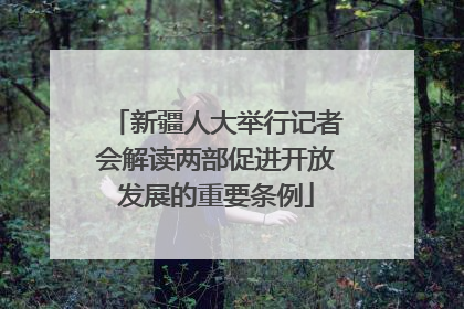 新疆人大举行记者会解读两部促进开放发展的重要条例