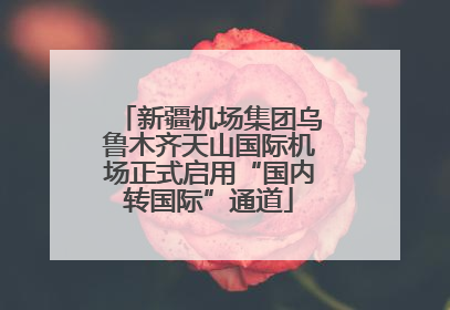 新疆机场集团乌鲁木齐天山国际机场正式启用“国内转国际”通道