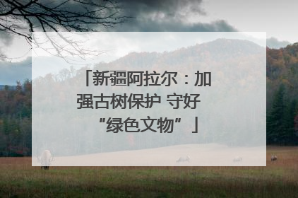 新疆阿拉尔：加强古树保护 守好“绿色文物”