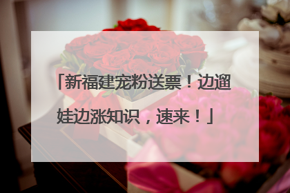 新福建宠粉送票！边遛娃边涨知识，速来！