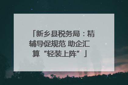 新乡县税务局：精辅导促规范 助企汇算“轻装上阵”