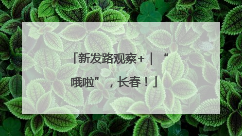 新发路观察+｜“哦啦”，长春！