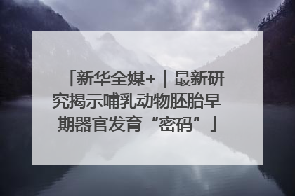 新华全媒+｜最新研究揭示哺乳动物胚胎早期器官发育“密码”
