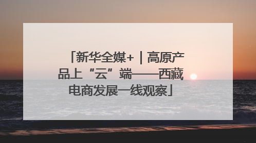 新华全媒+｜高原产品上“云”端——西藏电商发展一线观察