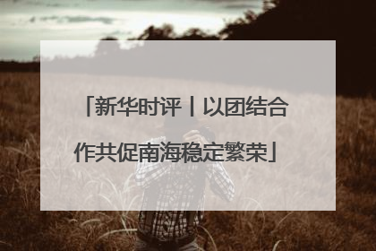 新华时评丨以团结合作共促南海稳定繁荣