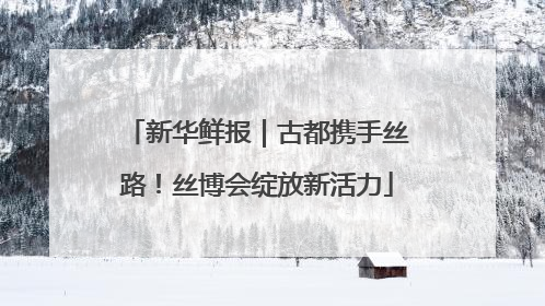 新华鲜报｜古都携手丝路！丝博会绽放新活力