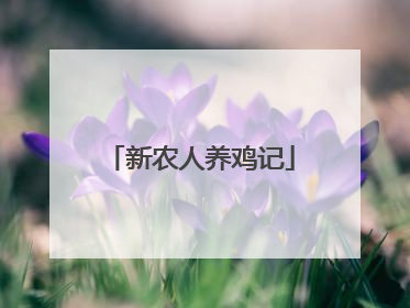 新农人养鸡记