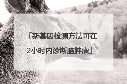新基因检测方法可在2小时内诊断脑肿瘤