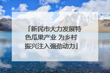 新民市大力发展特色瓜果产业 为乡村振兴注入强劲动力